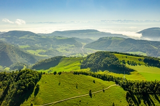 Pfingstmontagsrunde